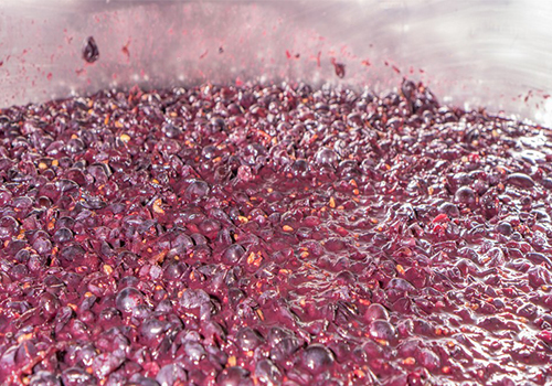 發(fā)酵消泡劑