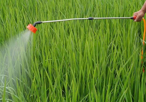 草甘膦水劑消泡劑