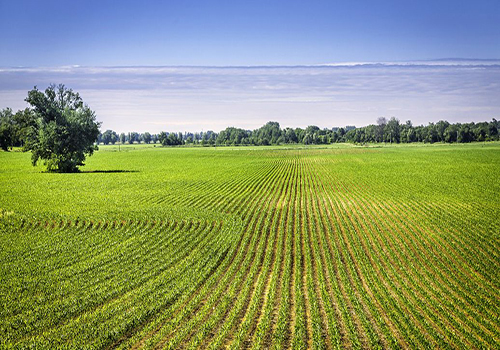 農用有機硅消泡劑